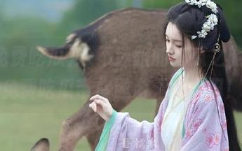 永不迷路的吃瓜之旅，51免费吃瓜带你遨游无尽瓜田！