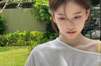 51吃瓜资源组件更新，特别版——胖猫带你畅游吃瓜的海洋！