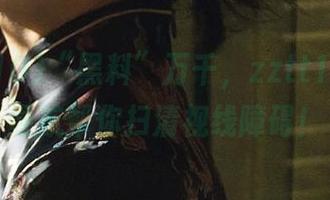 “黑料”万千，zztt10.ccm导航帮你扫清视线障碍！