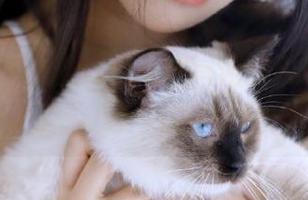 从zztt黑料官网的入口探秘，学会了“八卦”这门新技能！