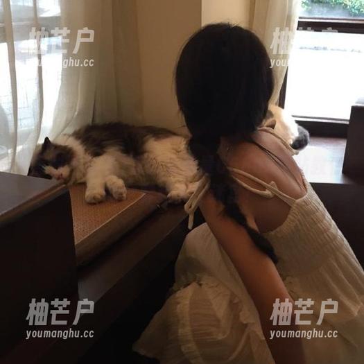 黑料正能量668us网站教你安全穿越人生迷宫！