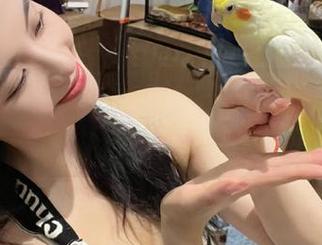 不怕黑，网页黑料永远不打烊让人不停翻页！